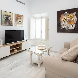 Apartamento Animalia, Cádiz